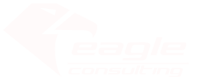 Eagle Consulting S.A.C